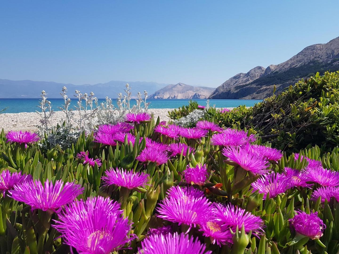 Apartment Pavlakovic Baška Kültér fotó